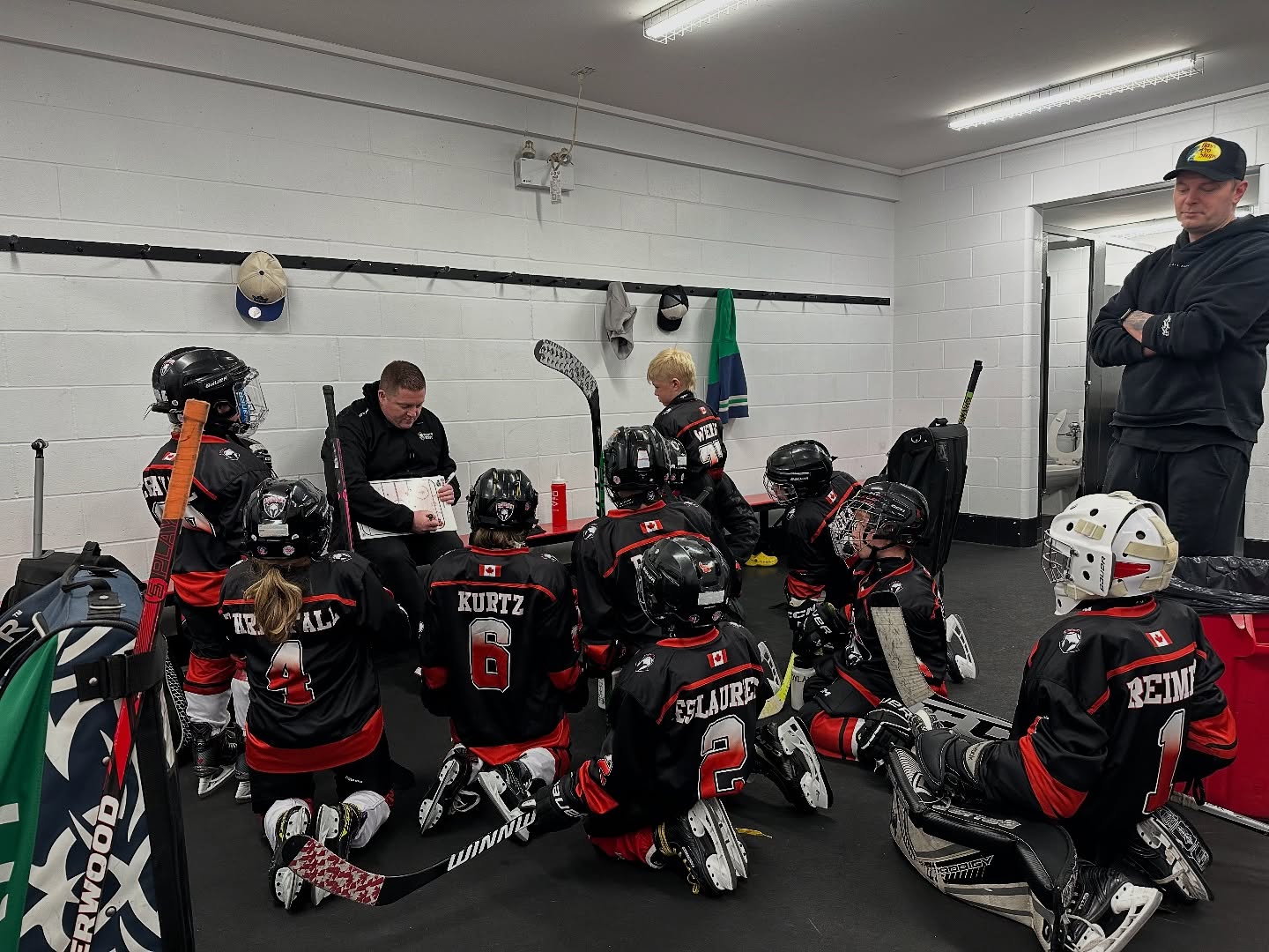 
            Professional Coaching